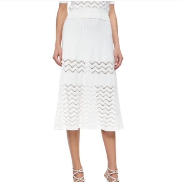 A.L.C. Snyder Midi Skirt - Picture 1 of 11